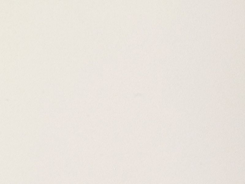 color.white color.white