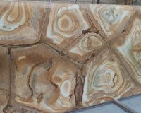 exotik rohtafel exotik rohtafel