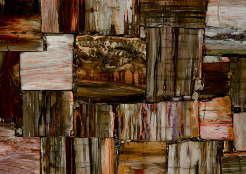 retro petrified wood w800 h800 retro petrified wood w800 h800