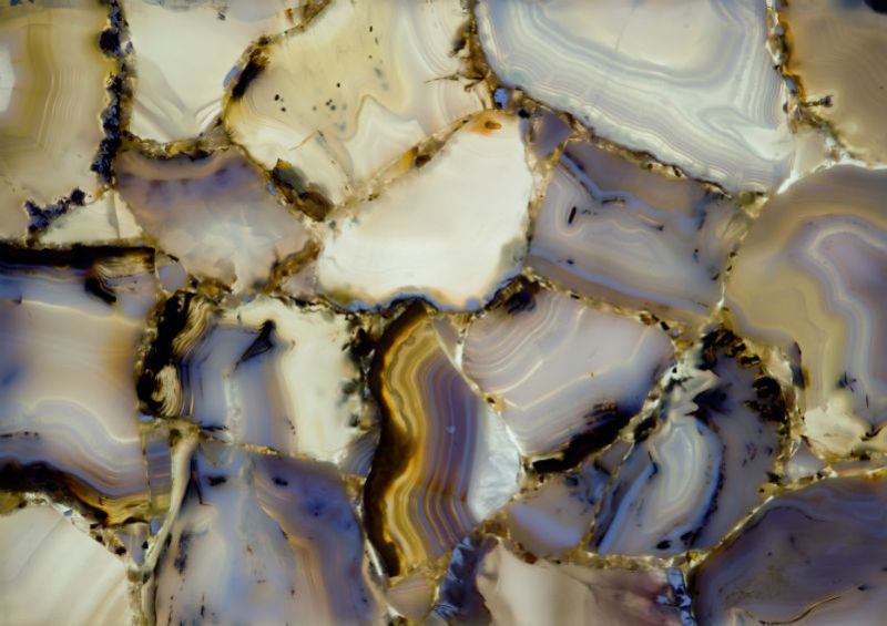wild agate w800 h800 wild agate w800 h800