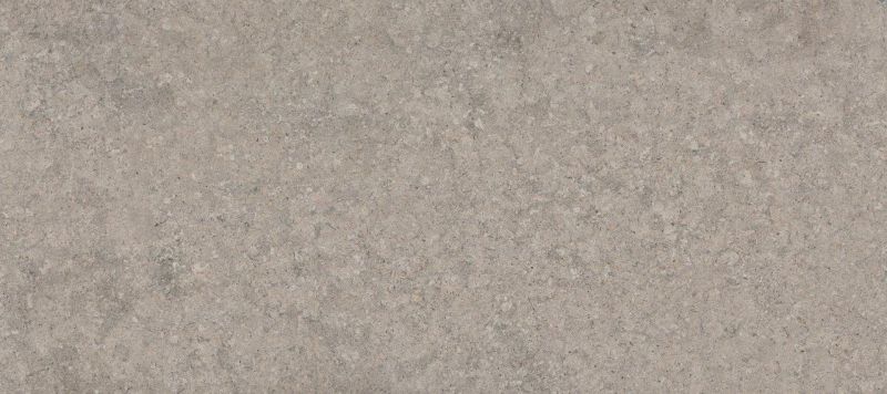 grigio grigio