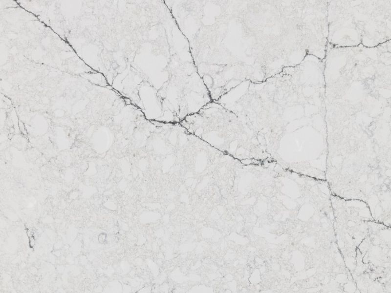 forest betulla detail forest betulla detail