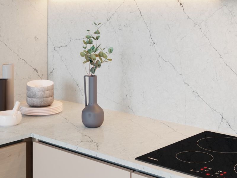 forest betulla gallery04 forest betulla gallery04