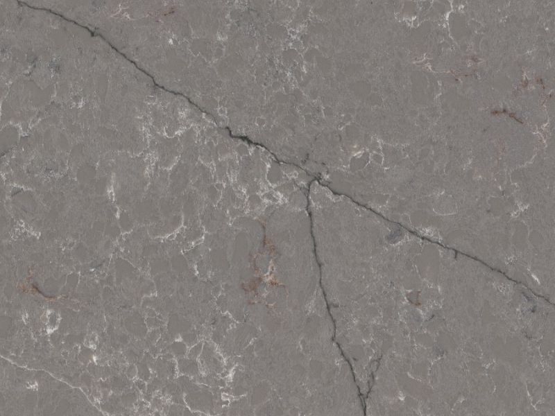 forest garrigue detail forest garrigue detail