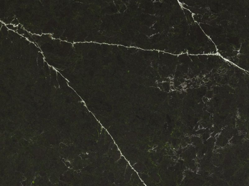 forest magnolia detail forest magnolia detail