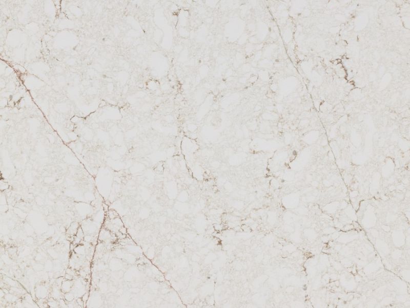 forest sughero detail forest sughero detail