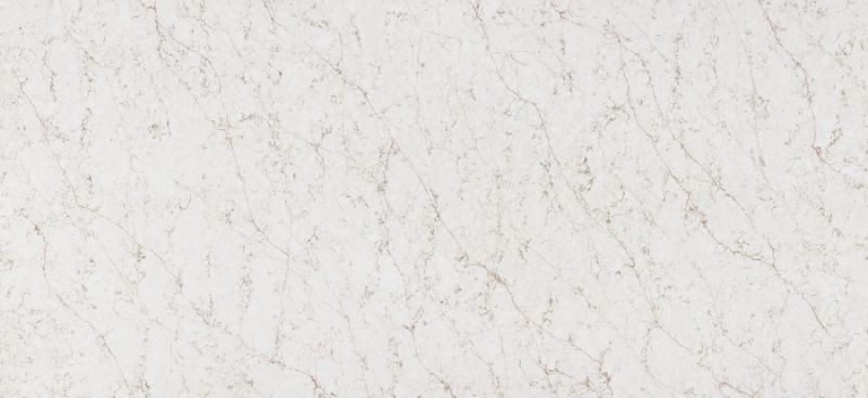 forest sughero slab forest sughero slab