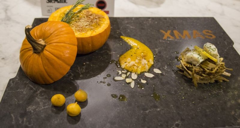 fossil jet dish fossil jet dish