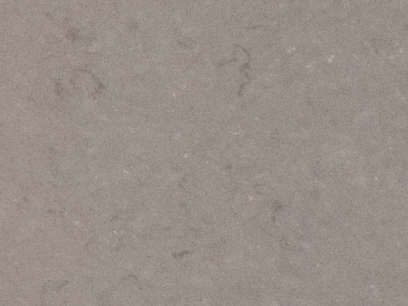 fossil nautilus detail fossil nautilus detail