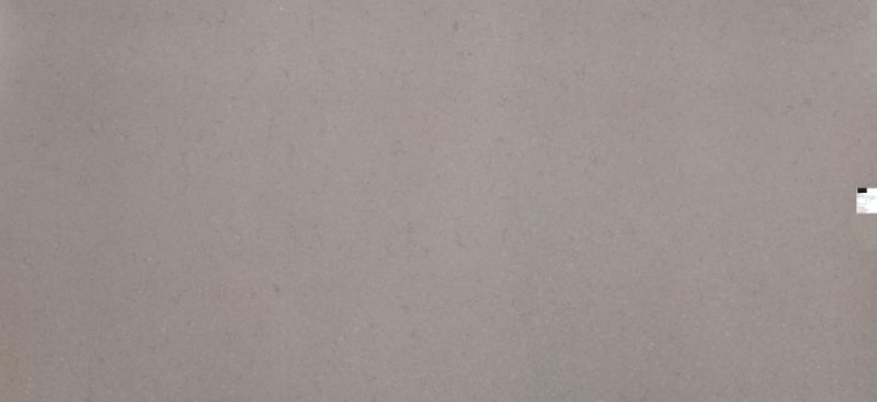 fossil nautilus slab fossil nautilus slab