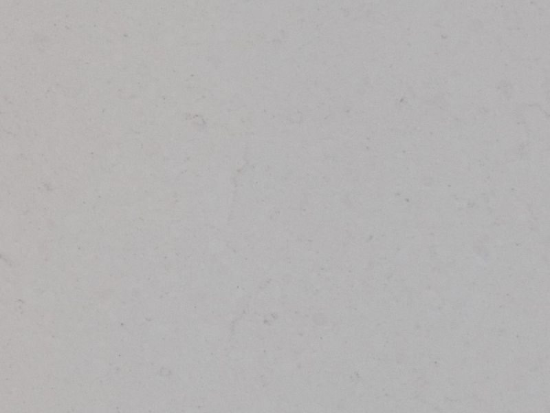 fossil seashell detail fossil seashell detail