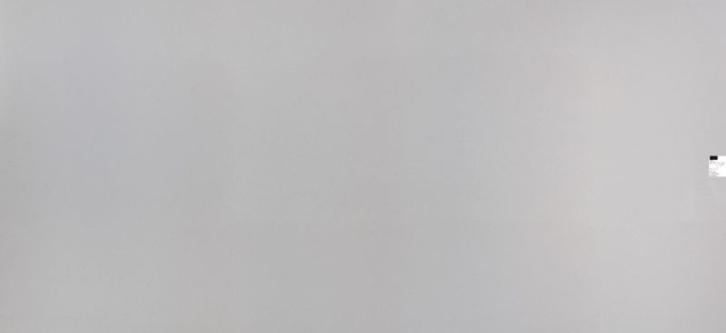 fossil seashell slab fossil seashell slab