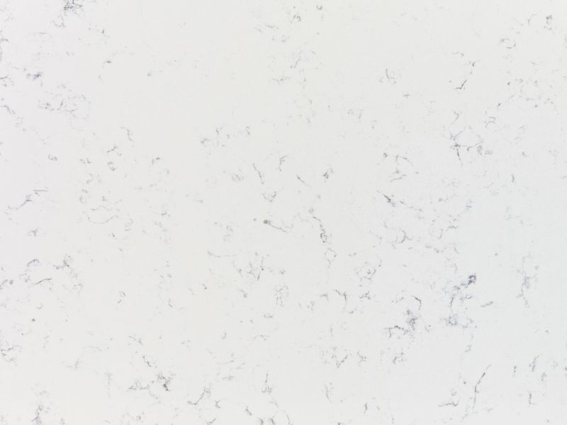 veined bernini detail veined bernini detail