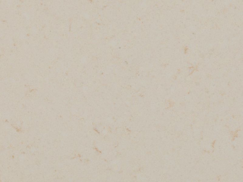 veined cream detail veined cream detail