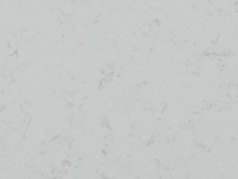 veined michelangelo detail veined michelangelo detail