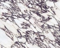 if mb22 calacatta viola 160x320mm a if mb22 calacatta viola 160x320mm a