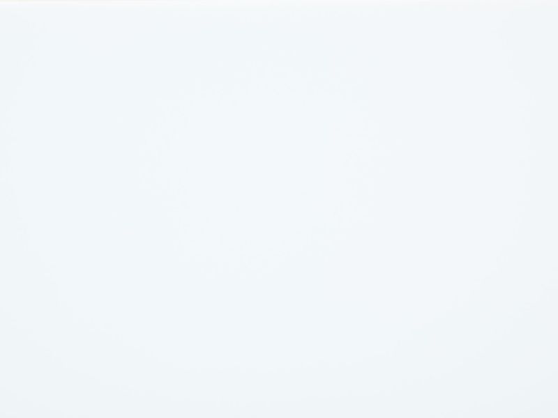 miami white miami white